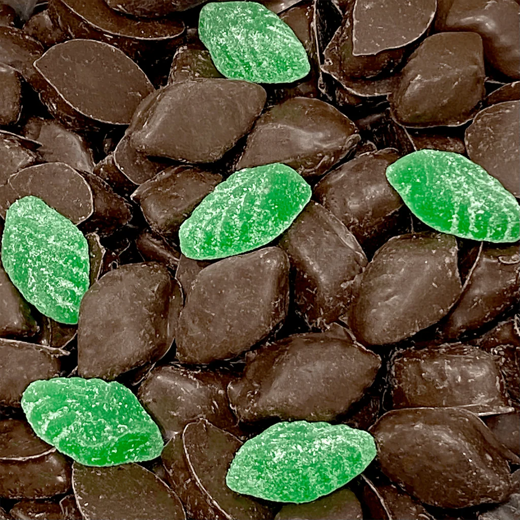 Choc Coated Mint Leaves