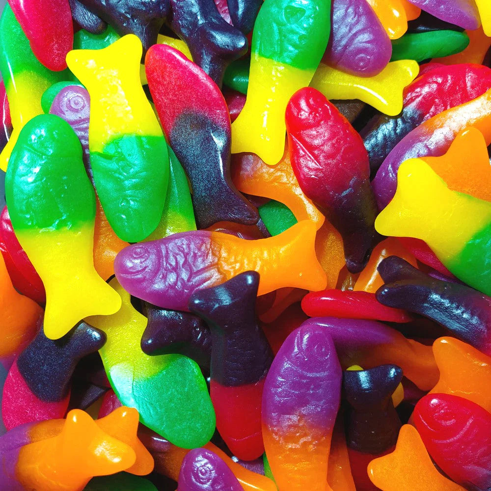 RAINBOW - Colorful Fish