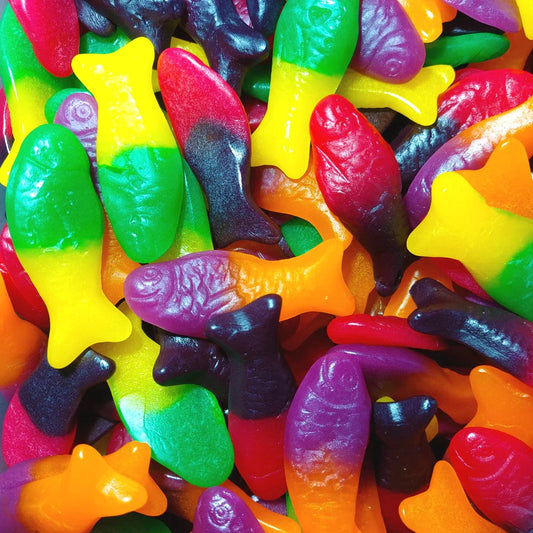 RAINBOW - Colorful Fish