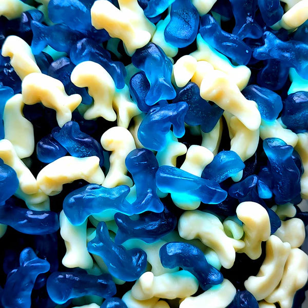 Bulk - Baby Dolphins