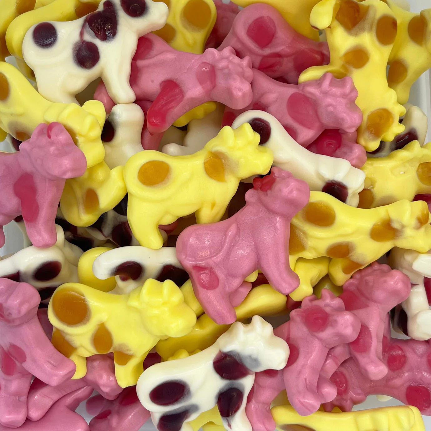 Milky Cows