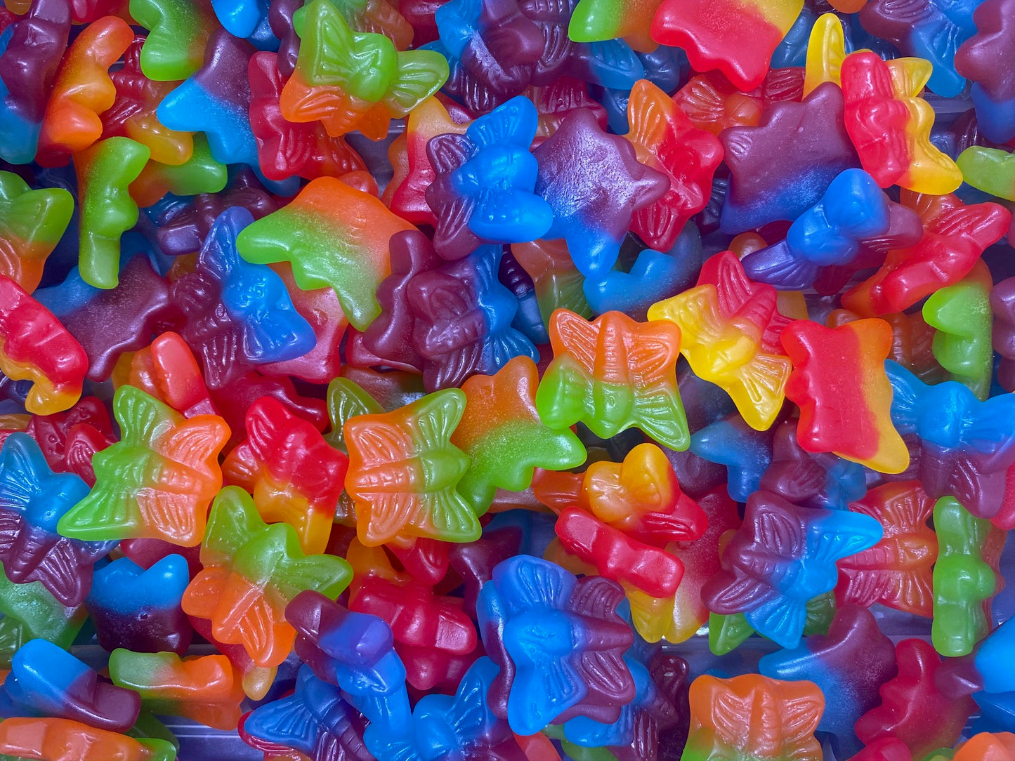 DAMEL - Rainbow Butterflies